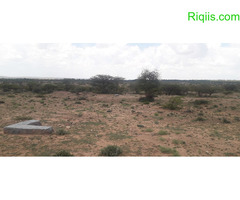 Dhul iib  Hargaysa  GALBEDKA 80mx60 = 4800 m2 LAND FOR SALE - Image 1