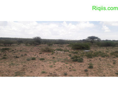 Dhul iib  Hargaysa  GALBEDKA 80mx60 = 4800 m2 LAND FOR SALE - Image 2