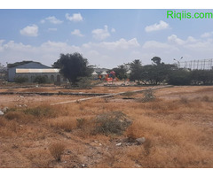 Dhul iiba 18mx24m= 432m2 LAND FOR SALE - Image 1