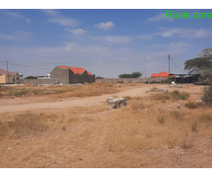 Dhul iiba 18mx24m= 432m2 LAND FOR SALE - Image 2