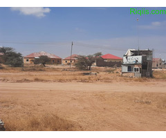 Dhul iiba 18mx24m= 432m2 LAND FOR SALE - Image 3