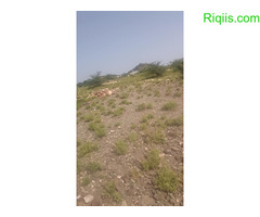 dhul iiba kuna yaala magalada Borama 15mx15m = 225m2 land for sale - Image 1