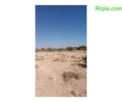 dhul iiba  15m×15m = 225m2 Land for Sale - Image 2