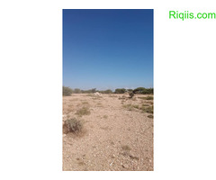 dhul iiba  15m×15m = 225m2 Land for Sale - Image 3