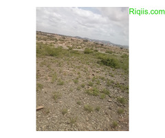 dhul iiba  15m×30m = 450m2 Land for Sale - Image 1