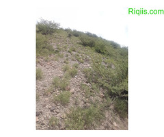 dhul iiba  15m×30m = 450m2 Land for Sale - Image 2