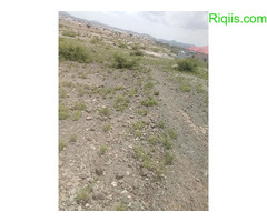 dhul iiba  15m×30m = 450m2 Land for Sale - Image 3