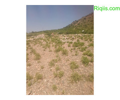 dhul iiba  15m×15m = 225m2 Land for Sale - Image 1