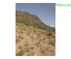 dhul iiba  15m×15m = 225m2 Land for Sale - Image 3