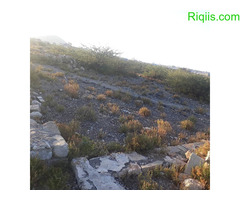 jago iib 15mx15m = 225m2 Land for Sale - Image 2