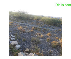 jago iib 15mx15m = 225m2 Land for Sale - Image 3