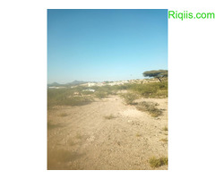 jago iib  30x30m = 900m2  Land for Sale - Image 1