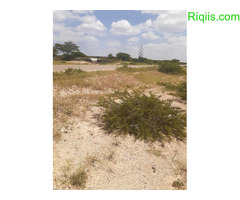 dhul iiba 20mx40m = 800m2  Land for Sale - Image 1