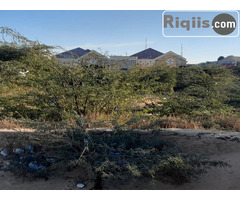 dhul iiba 20mx20m = 400m2 hargeisa land for sale - Image 1