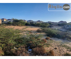 dhul iiba 20mx20m = 400m2 hargeisa land for sale - Image 2