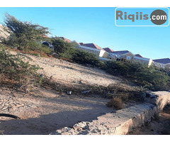 dhul iiba 20mx20m = 400m2 hargeisa land for sale - Image 3