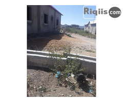 jogo 15mx7.5m = 112.5m2 Borama land for sale - Image 2