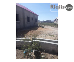 jogo 15mx7.5m = 112.5m2 Borama land for sale - Image 3