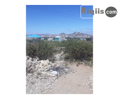 jago iiba 15mx20m = 300m2 Borama land for sale - Image 1