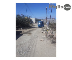 jago iiba 15mx20m = 300m2 Borama land for sale - Image 2