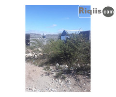 jago iiba 15mx20m = 300m2 Borama land for sale - Image 3