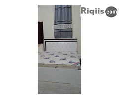 jiif 3 sheey celis iiba Mogadishu for sale - Image 3