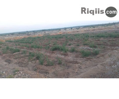 beer iiba 500m hargeisa land for sale - Image 1