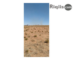 dhul iiba Cabirka 400 karemeter iiba jigjiga land for sale - Image 1