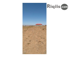 dhul iiba Cabirka 400 karemeter iiba jigjiga land for sale - Image 3