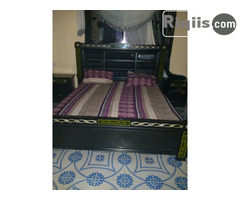 hurdo dhamays turkey iiba hargeisa for sale - Image 1