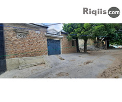 guri kiro Mogadishu house for rent - Image 3