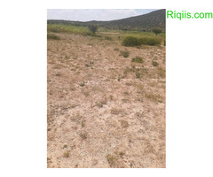 dhul iiba 50m×50m= 2500m2  Land for Sale - Image 1