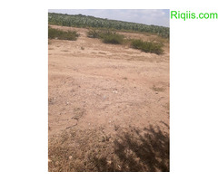 dhul iiba 50m×50m= 2500m2  Land for Sale - Image 2