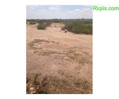 dhul iiba 50m×50m= 2500m2  Land for Sale - Image 3