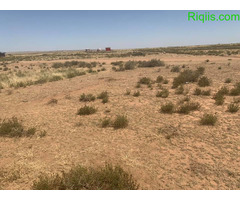 dhul iiba  kalinta total waa hal qoodi 1600kare Land for Sale - Image 1