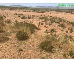 dhul iiba  kalinta total waa hal qoodi 1600kare Land for Sale - Image 3