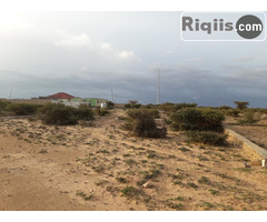 Dhul iib 80mx60m = 4800m2 Hargeisa land for sale - Image 3