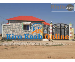 guri kiro Hargeisa Houses for Rent - Image 1