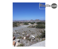 dhul iiba  15mx15m = 225m2 borama land for sale - Image 1