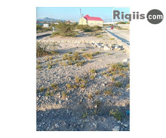 dhul iiba  12mx12m = 144m2 Borama land fo sale - Image 1