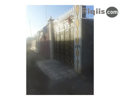 guri kiro Borama Houses for Rent - Image 1