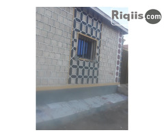 Guri iiba 15mx11m = 165m2 Borama Houses for Sale - Image 1