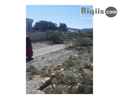 dhul iiba 15mx7.5m = 112.5m2 Borama land for sale - Image 1