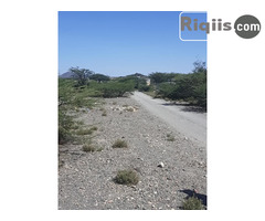 dhul iiba 15mx7.5m = 112.5m2 Borama land for sale - Image 2