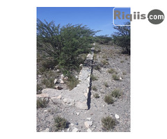 dhul iiba 15mx7.5m = 112.5m2 Borama land for sale - Image 3