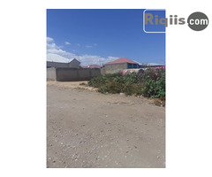 dhul iiba 15mx7.5m = 112.5m2 Borama land for sale - Image 2