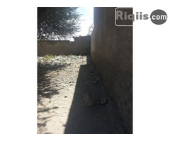 dhul iiba 17mx10m = 170m2 Borama land for sale - Image 1