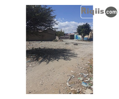 dhul iiba 17mx10m = 170m2 Borama land for sale - Image 3