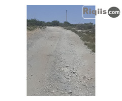 jago iiba 30mx15m = 450m2 Borama land for sale - Image 2