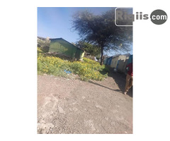 jago iiba   15mx15m = 225m2 borama land for sale - Image 1